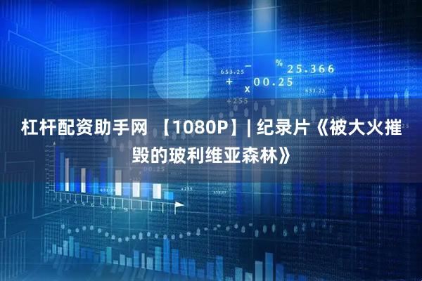 杠杆配资助手网 【1080P】| 纪录片《被大火摧毁的玻利维亚森林》